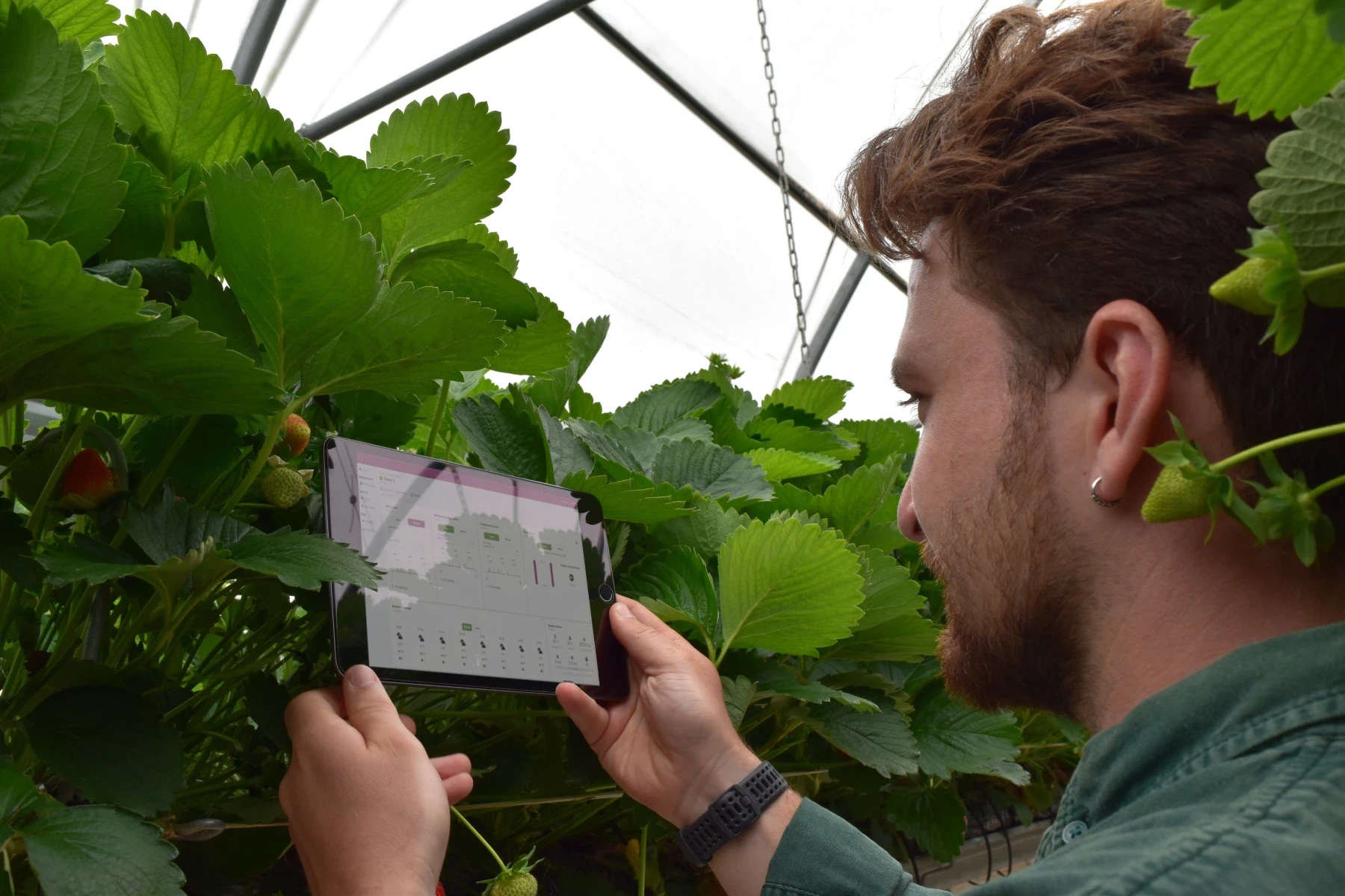 Man holding ipad next to crop